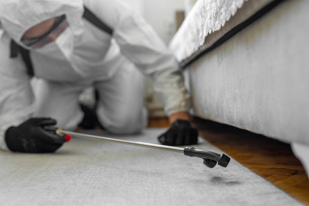 Professional Pest Control technician working in Chase County County, NE